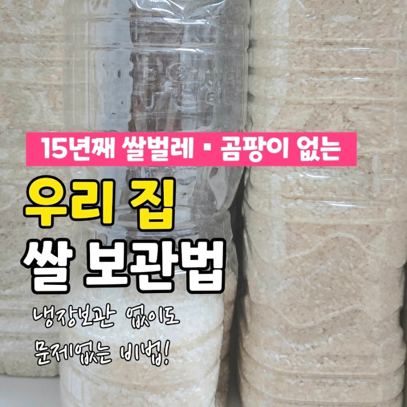 요즘 곰팡이쌀 걱정? 냉장보관 없이 15년째 문제없는 우리 집 쌀 보관법