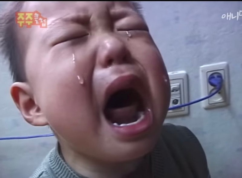 바퀴벌레 방역 후기... 세상의 중심에서 버맥스 갓재규를 외치다