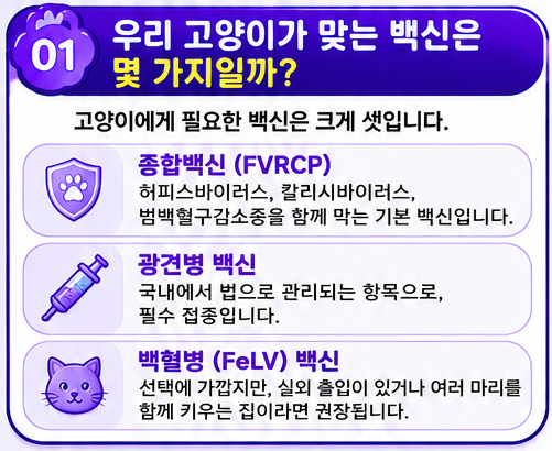 고양이 예방접종 비용, 백신 종류별 가격과 횟수 정리