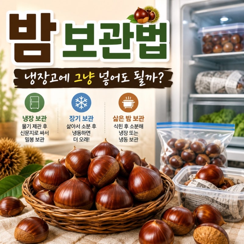 밤 보관법 냉장고에 그냥 넣으면 될까?