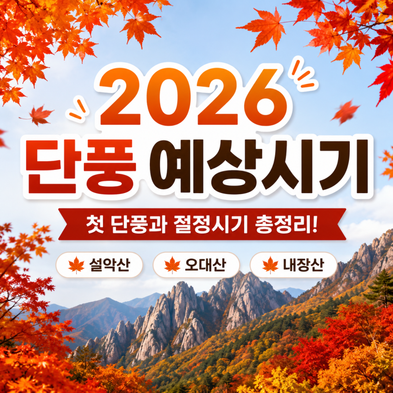 2026 단풍 예상시기｜설악산·오대산·내장산 첫 단풍과 절정시기