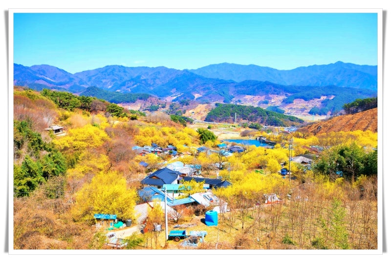 고속버스 경로할인 덕분에 바뀐 주말 계획