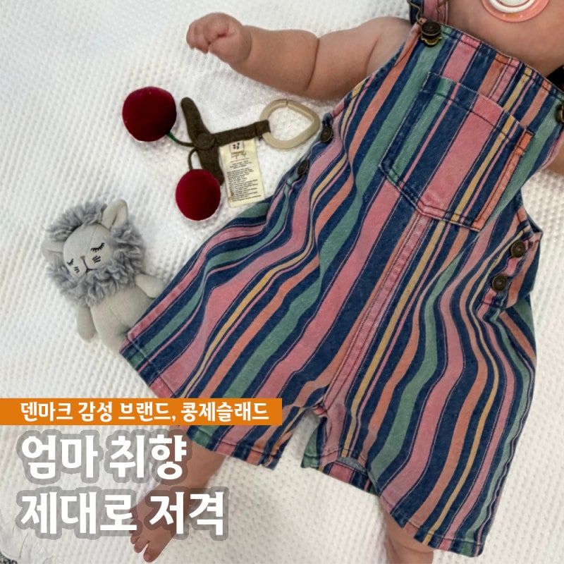 콩제슬래드 체리 딸랑이 모빌 미니 사자 아기 애착인형 후기 출산선물 추천