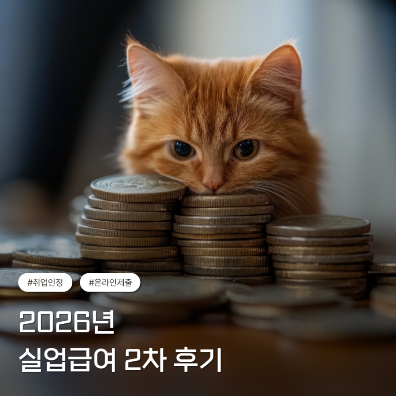 2026년 실업급여 후기 #3 | 2차 실업인정일, 구직활동, 구직활동 외 활동, 온라인 취업특강, 실....