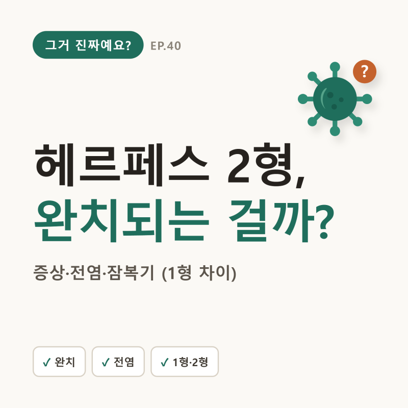 헤르페스 2형, 완치되는 걸까? — 증상·전염·잠복기 (1형 차이)