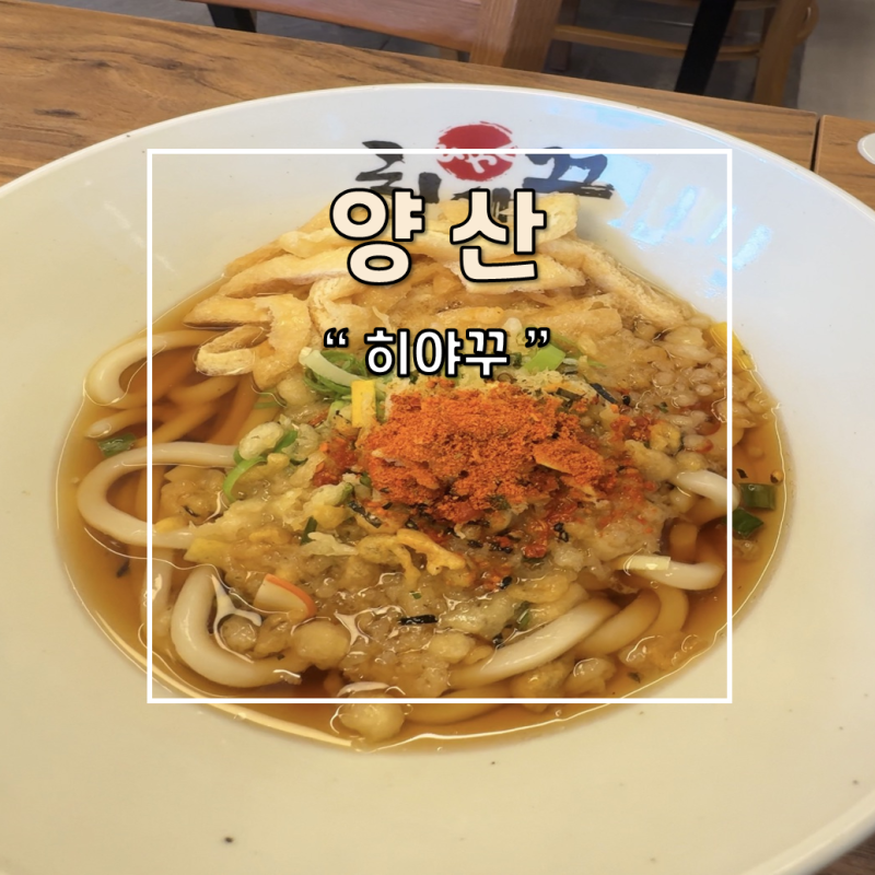 양산 북정동 신상맛집 우동 소바 일식집 히야꾸 추천 후기