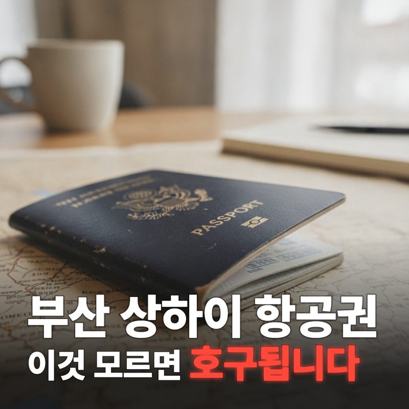 부산 상하이 항공권, 승무원 친구가 알려준 숨은 꿀팁