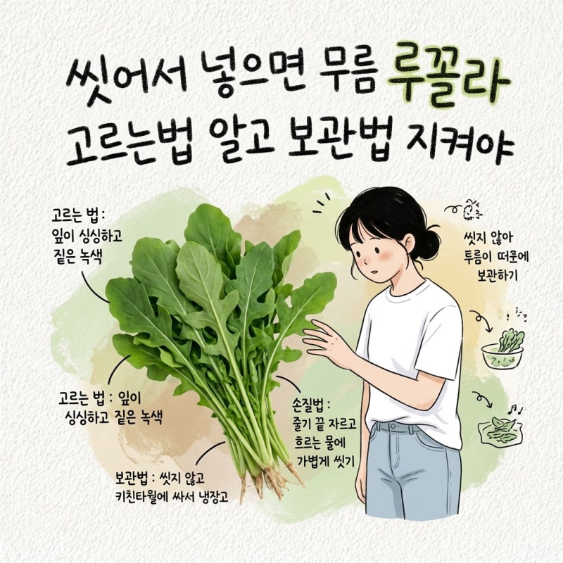 씻어서 넣으면 무름 루꼴라 고르는법 알고 보관법 지켜야 손질법 쓴맛 제철