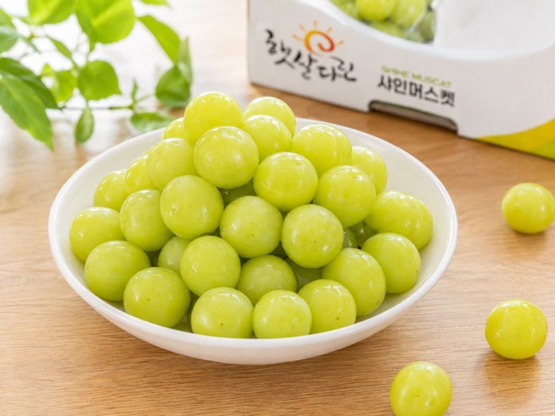 샤인머스켓 효능 5가지부터 오래 싱싱하게 보관하는 방법, 세척 꿀팁까지 정리