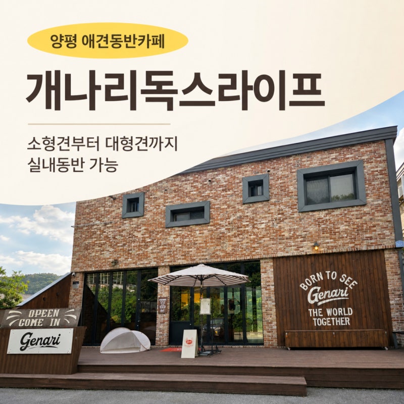 양평 서종 애견동반카페 개나리독스라이프, 소형견부터 대형견까지 실내동반 가능