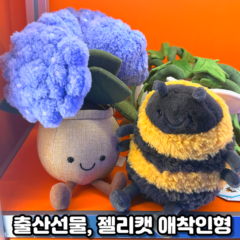 더현대 젤리캣 출산선물 애착인형 위치 종류
