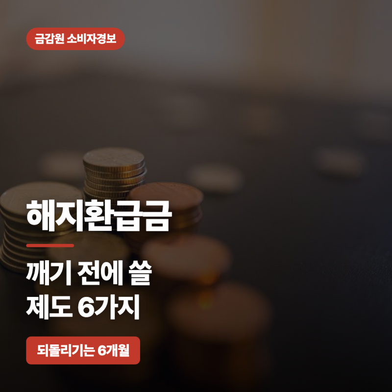 보험 해지환급금 왜 낸 돈보다 적을까? 해지 대신 쓰는 제도 6가지