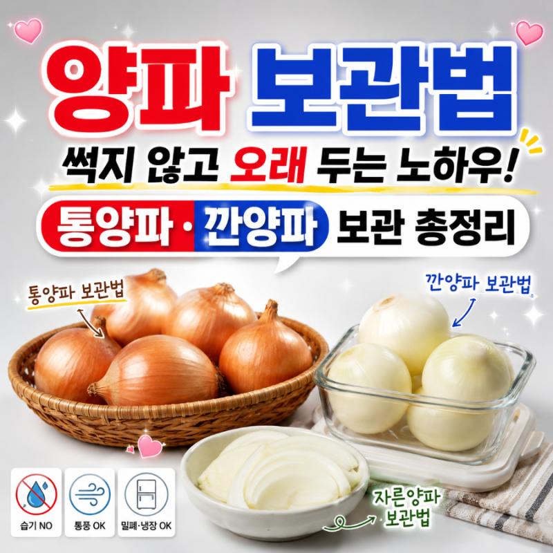 양파 보관법, 썩지 않고 오래 두는 노하우｜통양파·깐양파 보관 총정리