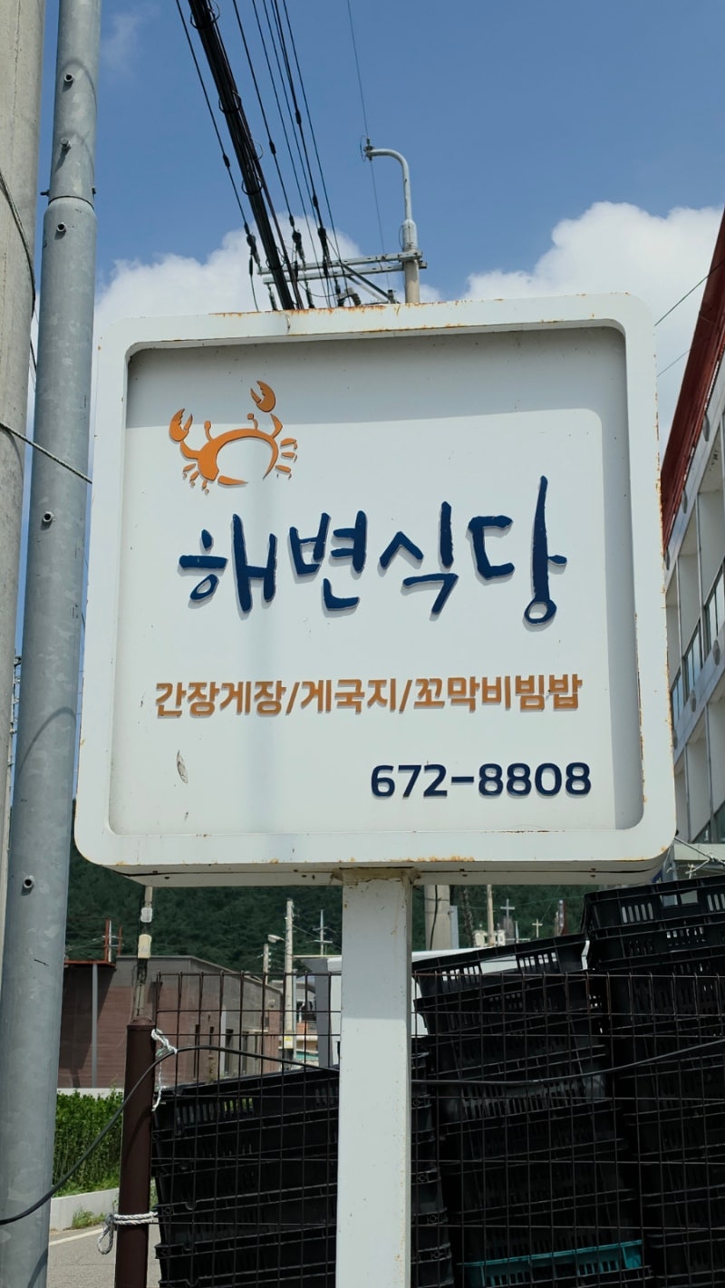 [태안] 천리포해변식당 애견동반 가능한식당&천리포 우럭젓국 맛집