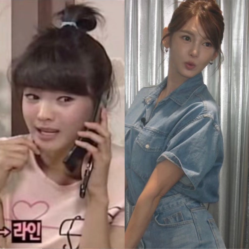 올해 49세인 롤러코스터 누나 정가은 충격 근황, 8등신 송혜교 닮은꼴로 유명