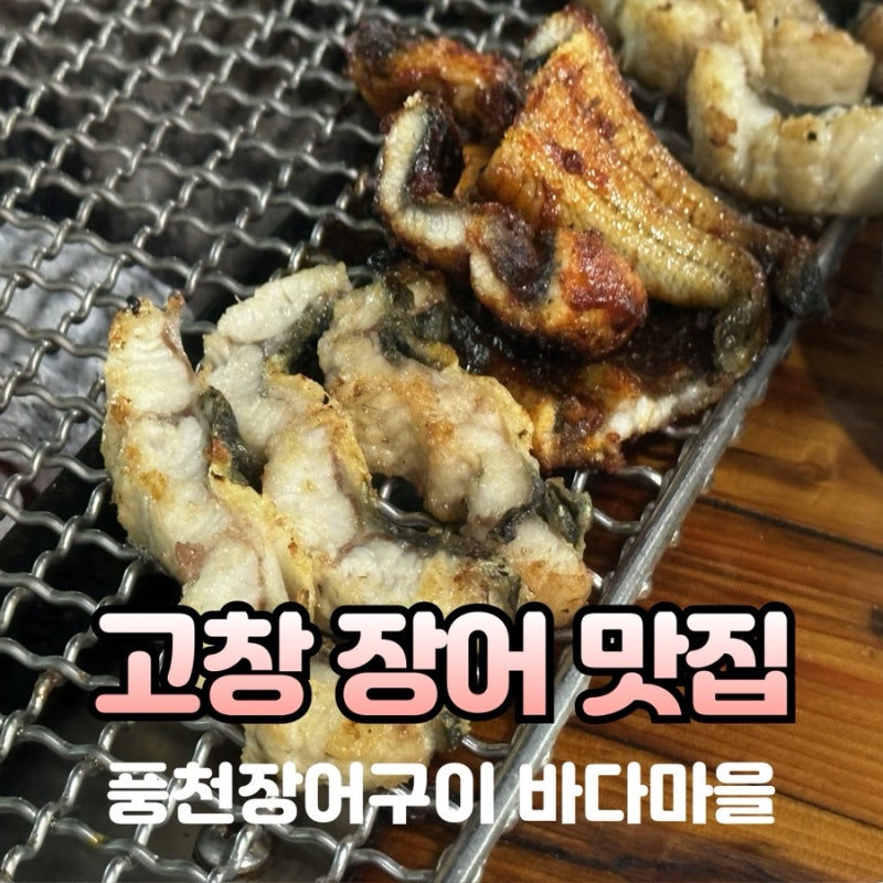 고창맛집 고창cc 근처 풍천 장어구이 바다마을! 동호해수욕장 맛집!
