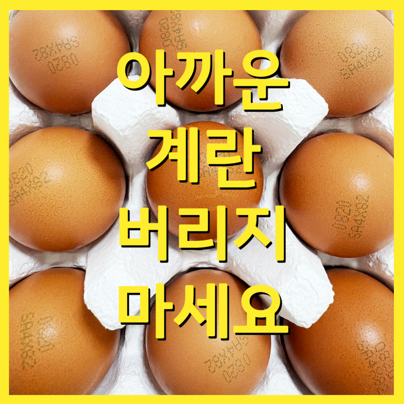 유통기한 지난 계란 버리지 마세요
