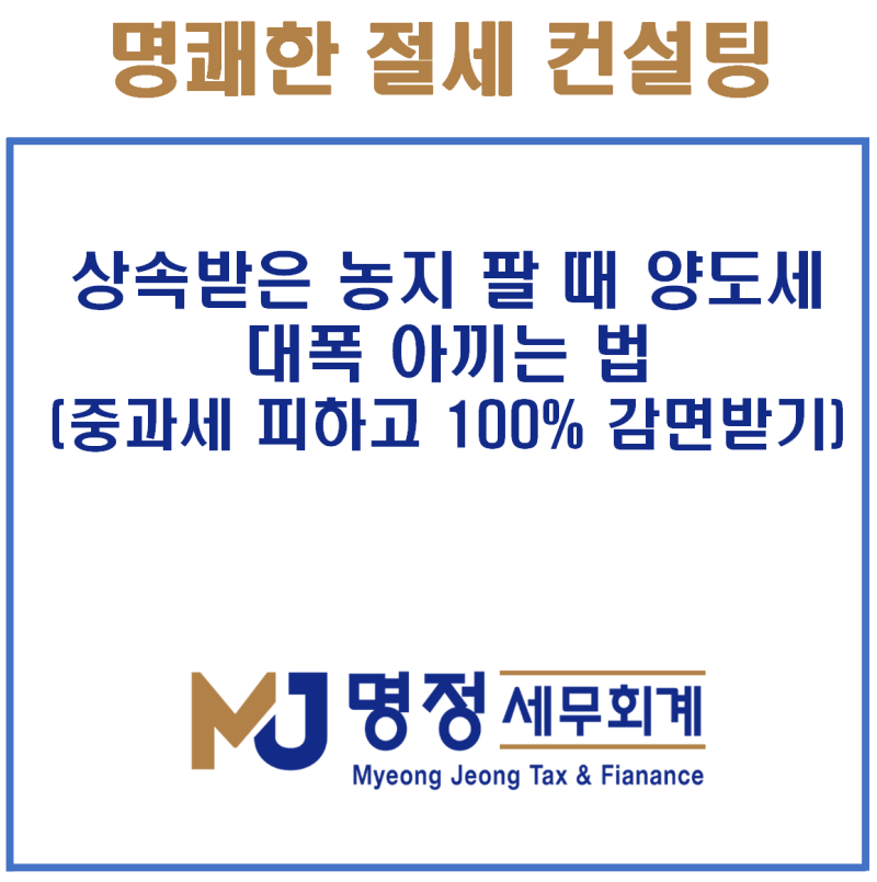 상속받은 농지 팔 때 양도세 대폭 아끼는 법 (중과세 피하고 100% 감면받기)