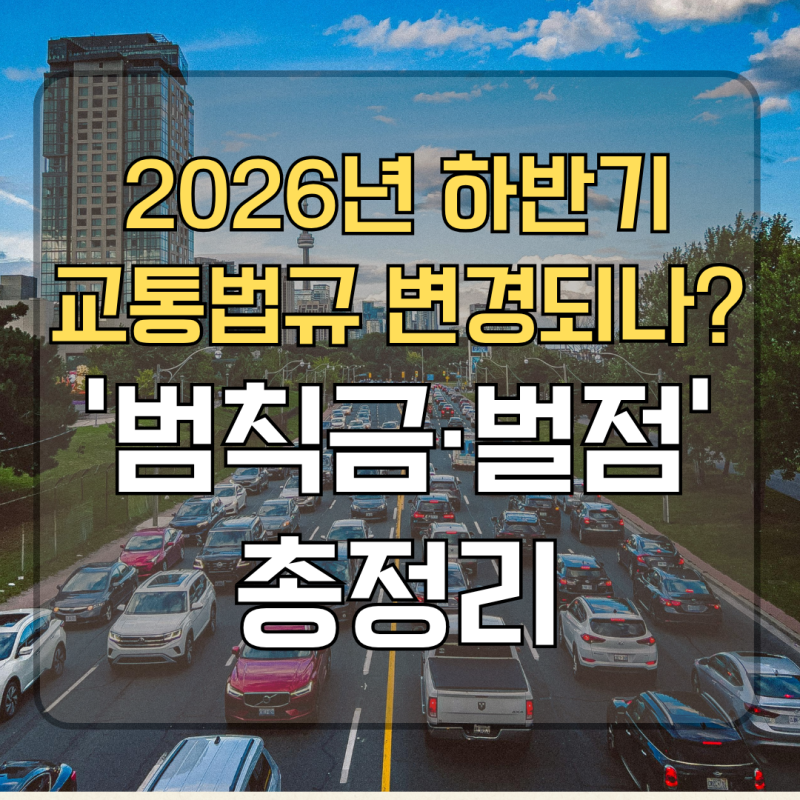 2026년 하반기 교통법규 변경? 거짓뉴스 팩트체크!!! 범칙금·벌점 총정리
