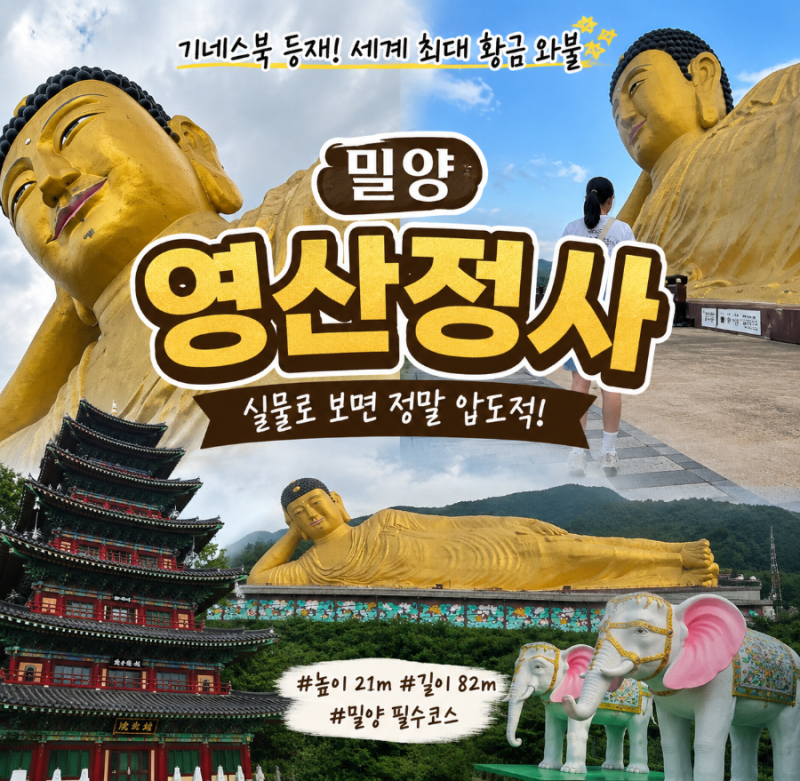 밀양 가볼만한곳 영산정사｜기네스북 세계 최대 황금 와불 실제로 보면 압도적
