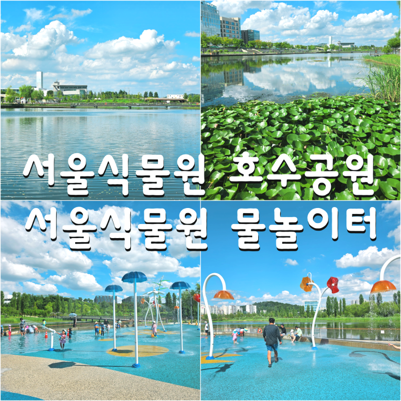 서울 놀만한곳 마곡 서울식물원 호수공원 물놀이터