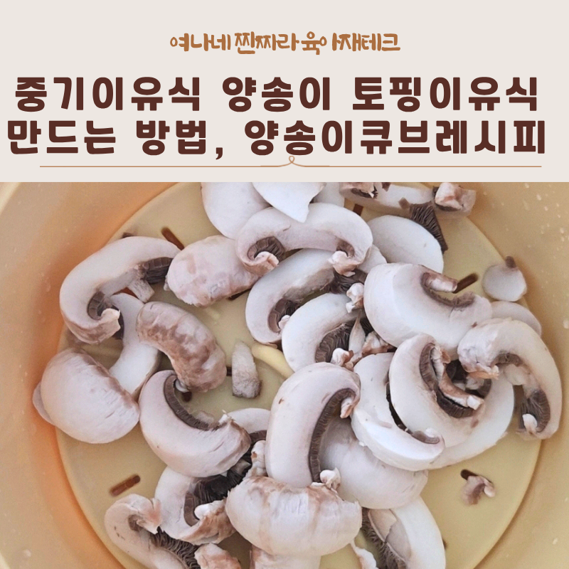 [중기이유식] 양송이버섯토핑이유식 만드는 방법, 양송이큐브레시피