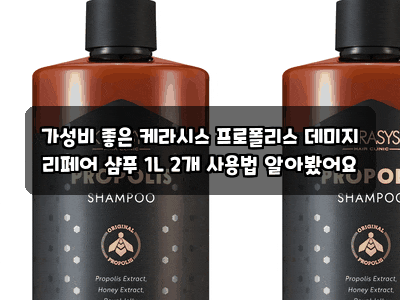 가성비 좋은 케라시스 프로폴리스 데미지 리페어 샴푸 1L 2개 사용법 알아봤어요