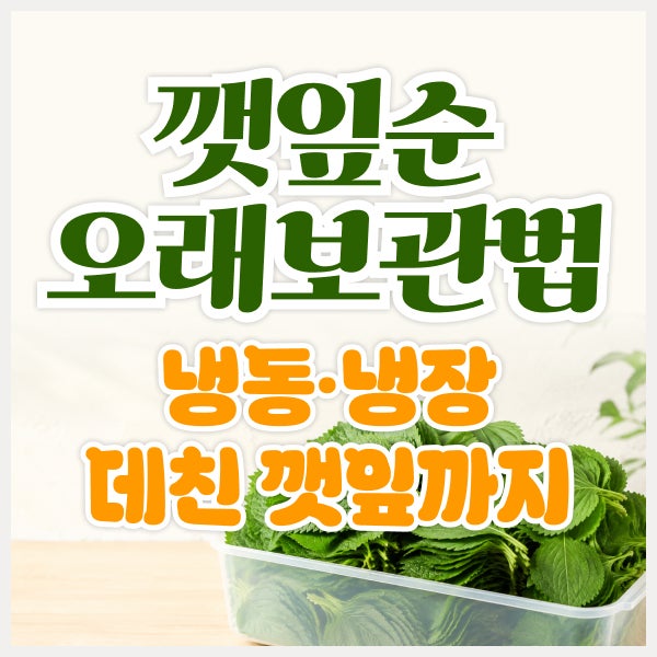 깻잎순 보관법 총정리｜냉동·냉장부터 데친 깻잎 오래 보관하는 방법