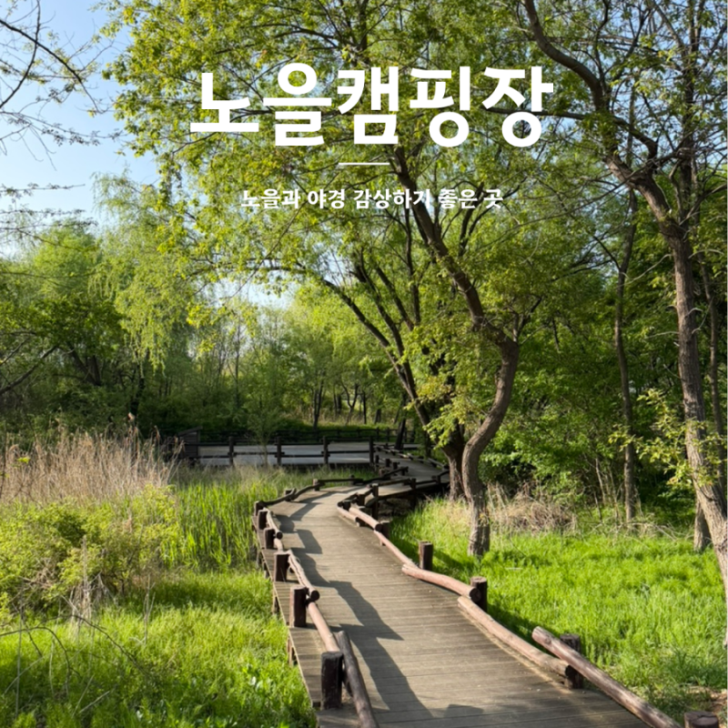 서울 가을캠핑 어디로 갈까? 애견동반 가능 노을캠핑장 예약방법 정리 (C구역)