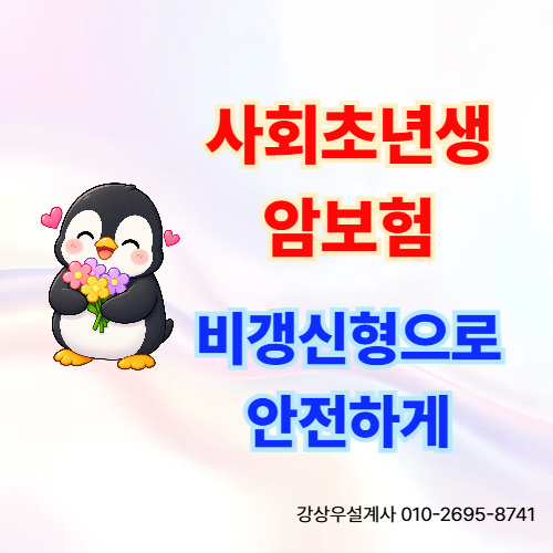 사회초년생 비갱신 암보험 넉넉한 보장으로 가입할 수 있습니다