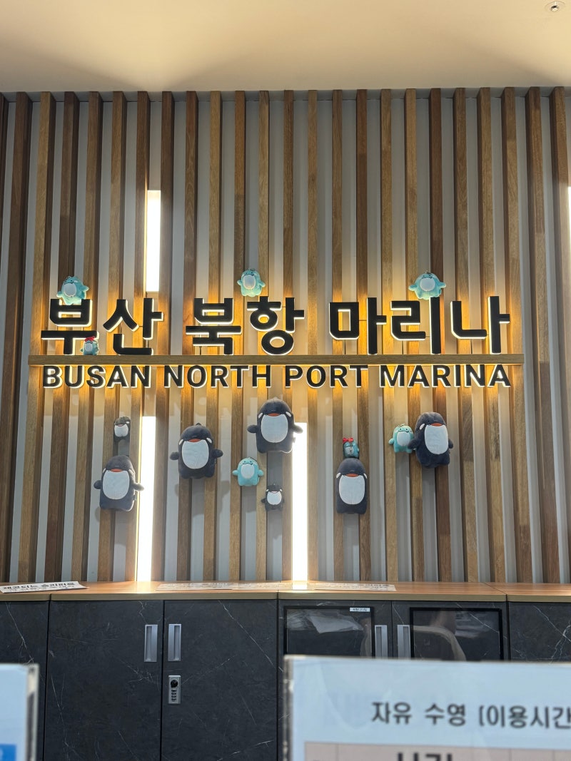부산북항마리나 수영장 재개장 자유수영 시간표