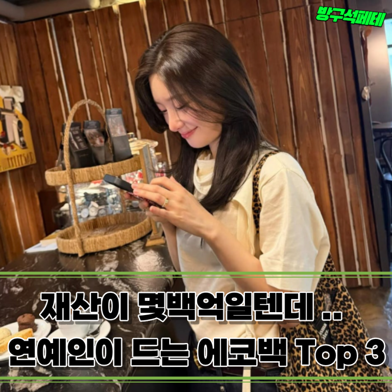 100억 자산가 연예인도 명품보다 손이 많이 간다고 말한 저렴한 에코백 추천 Top 3