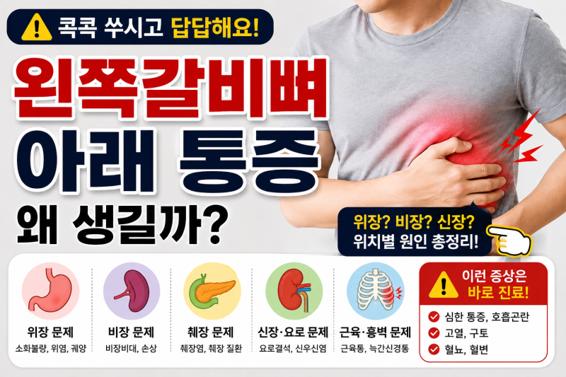 왼쪽갈비뼈아래통증 왜 아플까? 위치별 원인과 주의해야 할 증상
