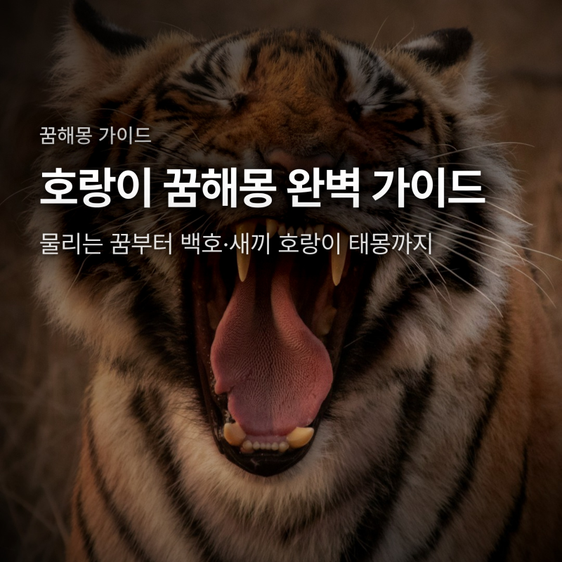 호랑이 꿈 해몽, 물리는 꿈부터 백호 태몽까지 상황별 해석