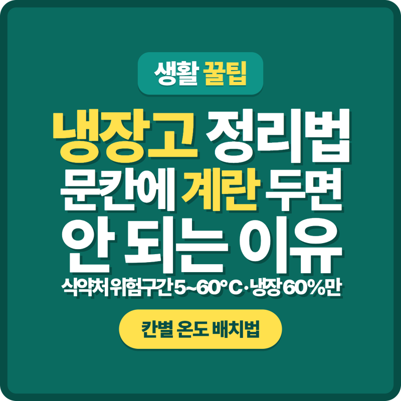 냉장고 정리법 | 문칸에 계란 두면 안 됩니다, 야채칸 온도까지