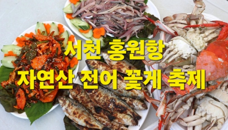서천 가볼만한곳 홍원항 자연산 전어 꽃게 축제