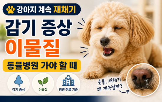 강아지 계속 재채기｜감기 증상·이물질·동물병원 가야 할 때
