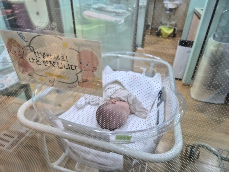 강서구 마곡 라엘르 산후조리원 13박 14일 오페라룸 내 돈 내산 찐후기 ( 마사지 추가, 베베캠....