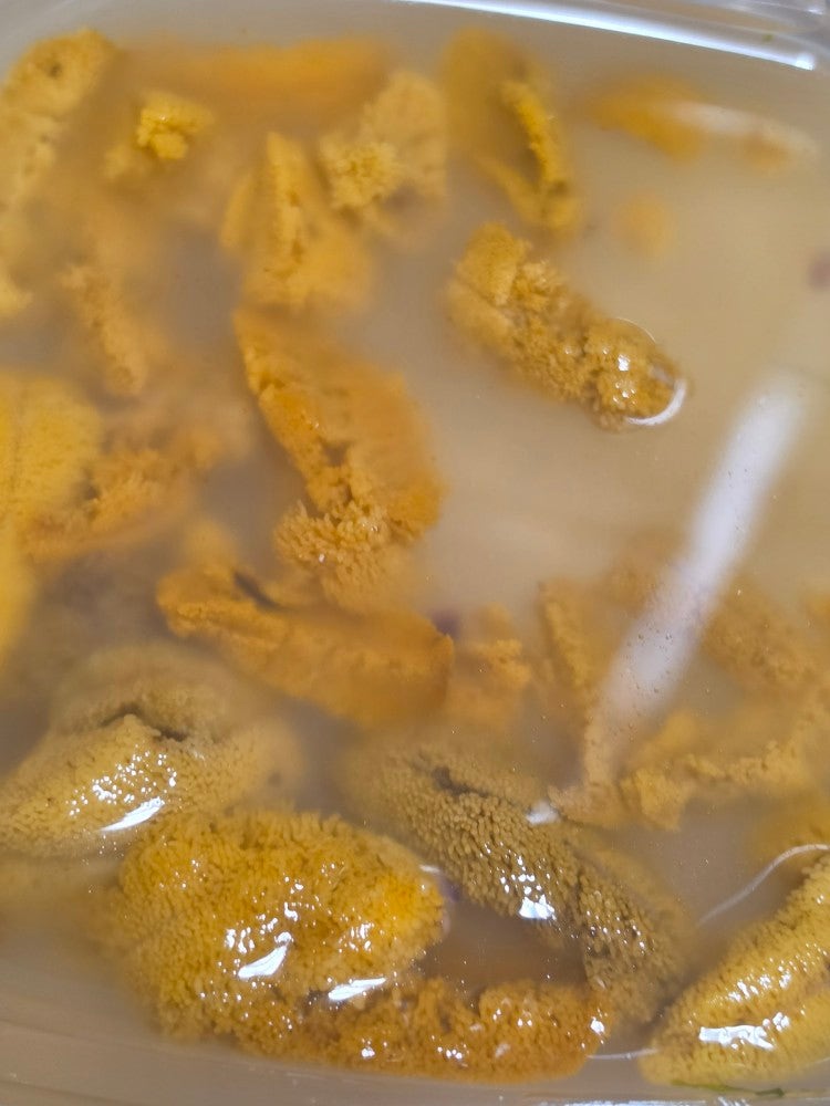 성게알 후기 우니 맛, 먹는 법 정리