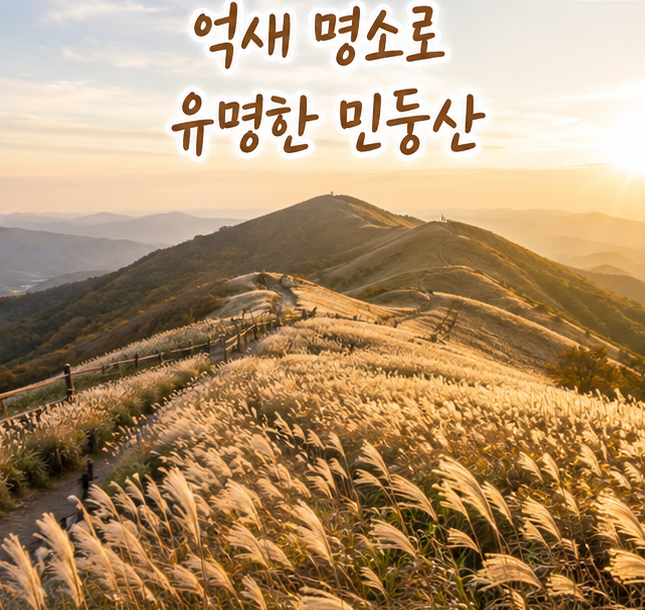정선 민둥산 등산 코스 총정리｜증산초교·발구덕 최단 코스·억새 시기·주차