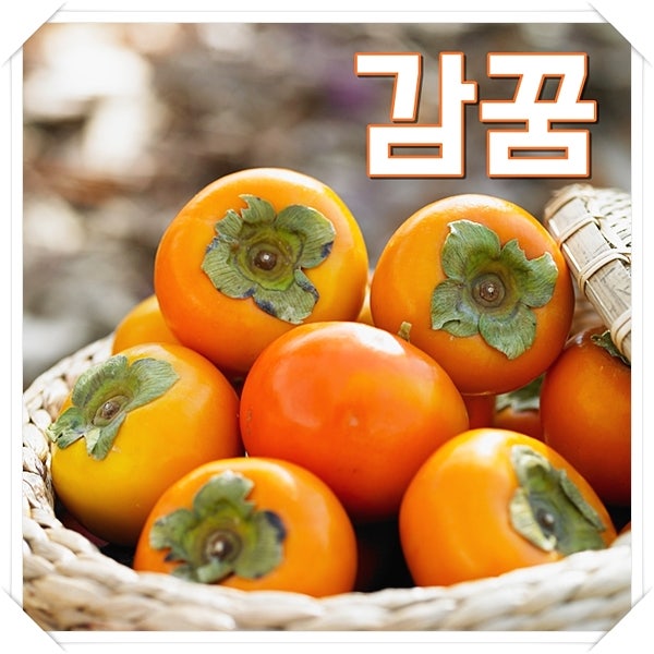 감꿈 해몽 감따는꿈 상황별 풀이 6가지 정리