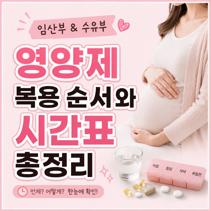 임산부 수유부 영양제 복용 순서와 시간표 총정리