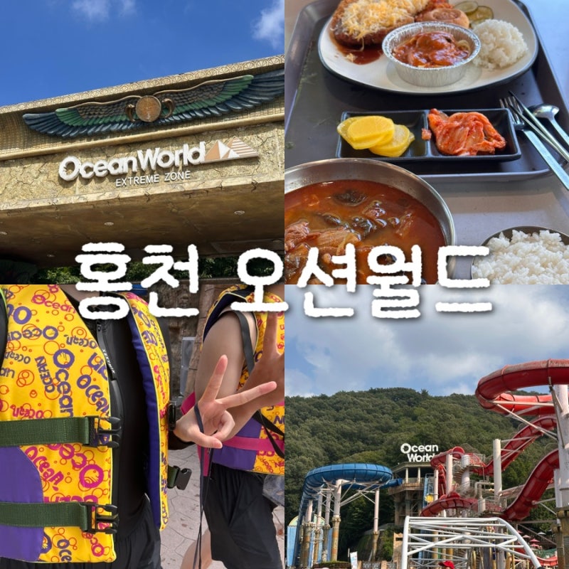 홍천 오션월드 평일 방문 후기 주차장 먹거리 준비물 꿀팁 총정리