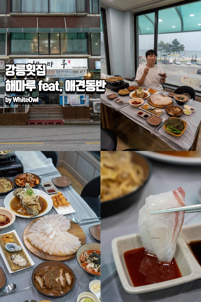 강릉현지인횟집 해마루 남항진해변 뷰 애견동반 가능 강릉횟집
