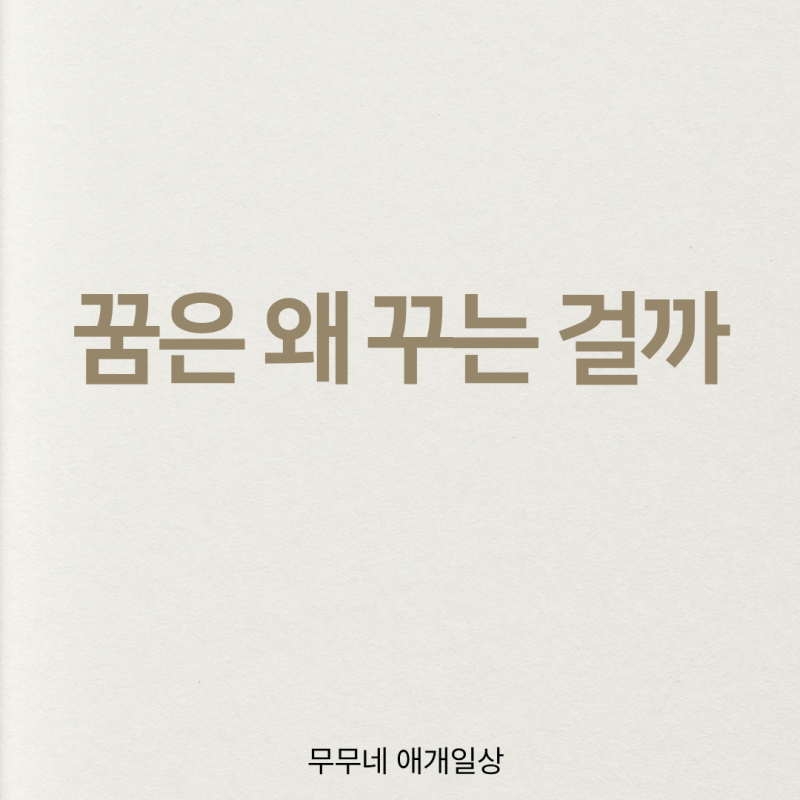 꿈을 꾸는 이유와 꿈을 잘 기억하지 못하는 이유