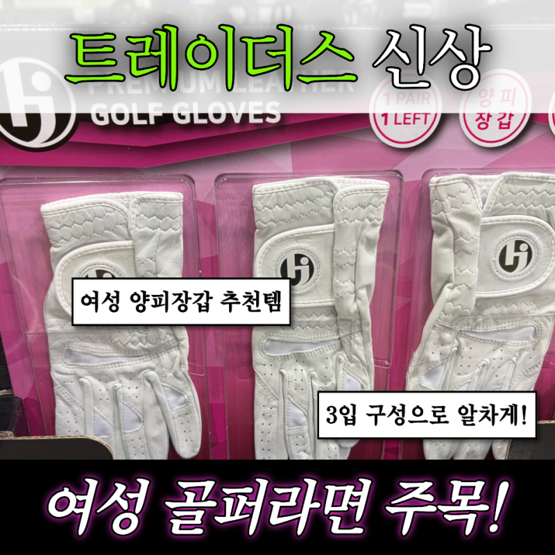 [트레이더스 골프용품] HJ 여성 양피 골프장갑 3입 가격 사이즈 삼성카드 할인