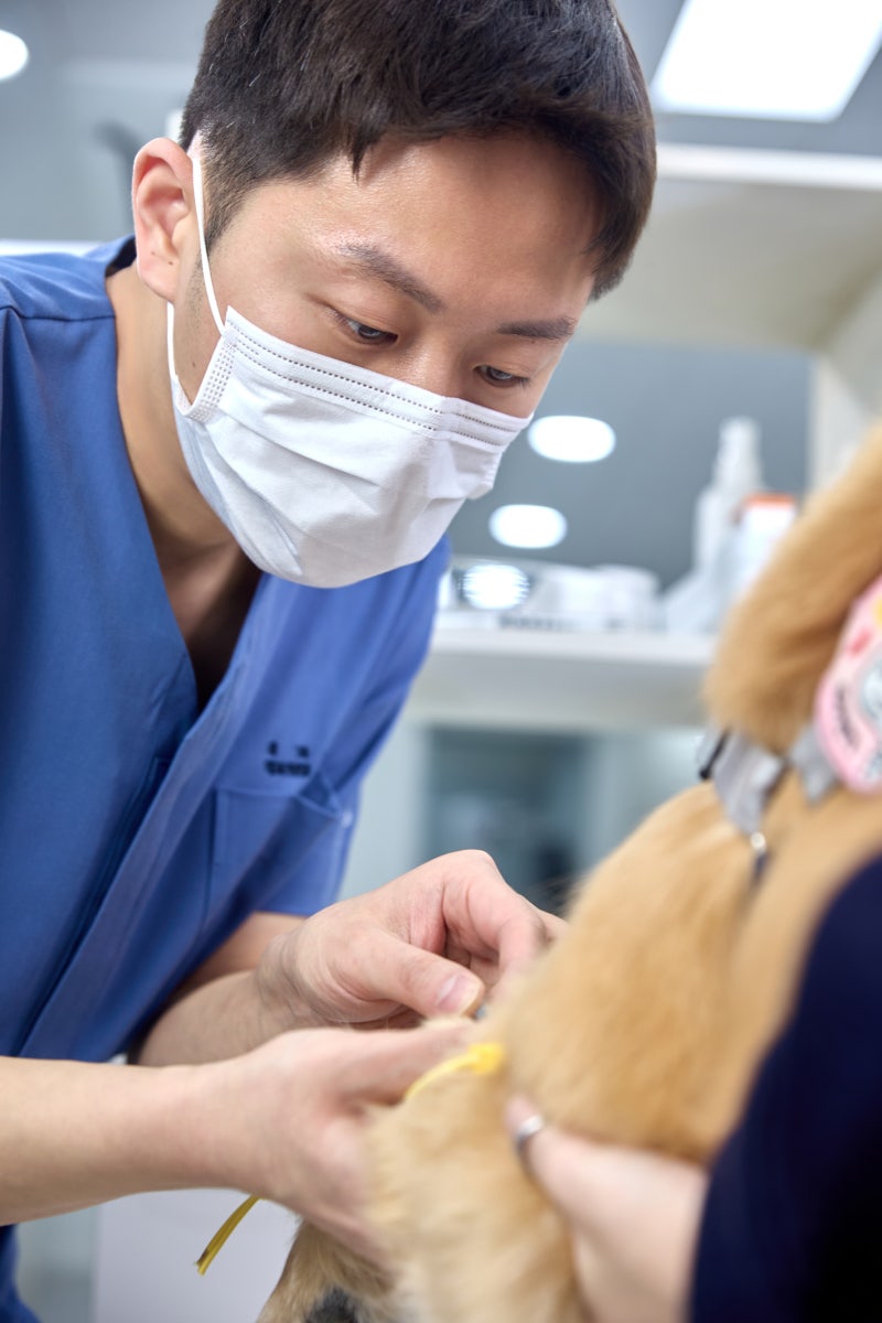 울산야간동물병원 24시간이라는 말보다 중요한 것