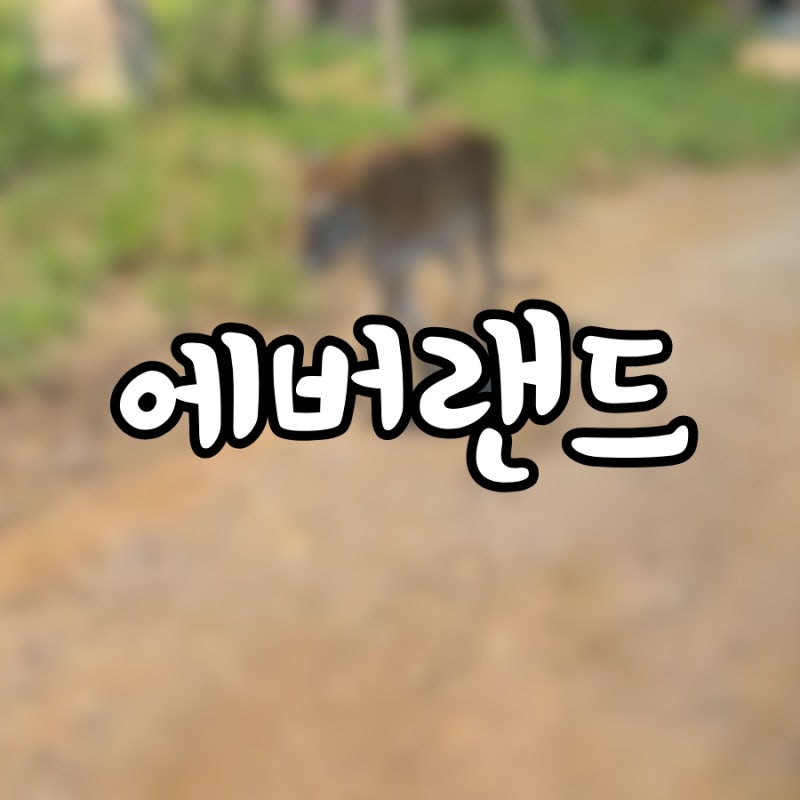 에버랜드 나이트사파리 불꽃놀이｜에버랜드가 낋여주는 여름밤의 특선 코스