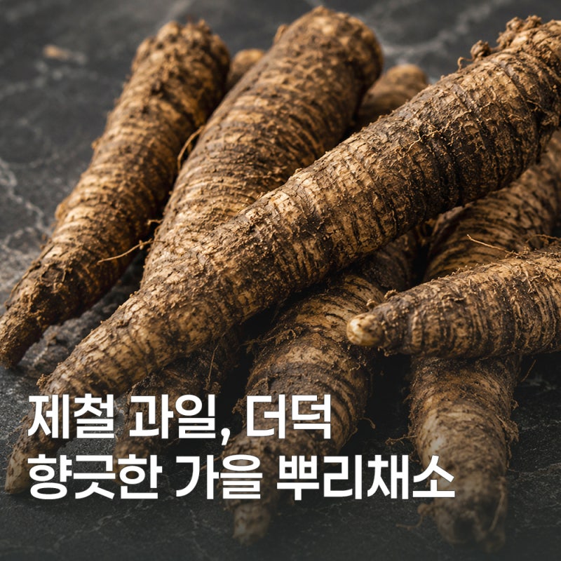 더덕 효능부터 손질법까지 한 번에 알아보기