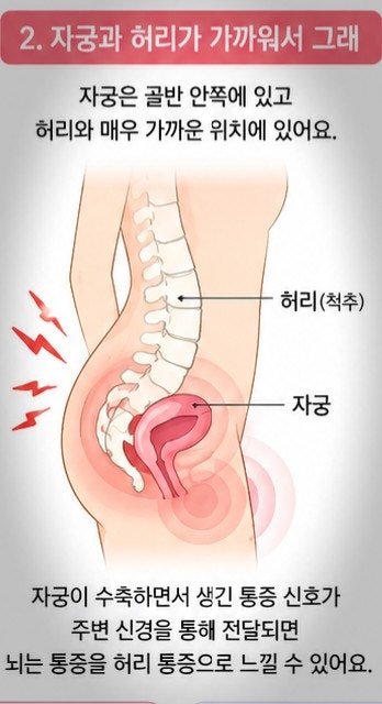 생리할때 허리아픈 이유 근육통과 관절통 설사 생리통 완화방법 알아보기
